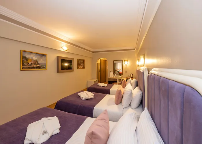 Отель Grand Anka Стамбул